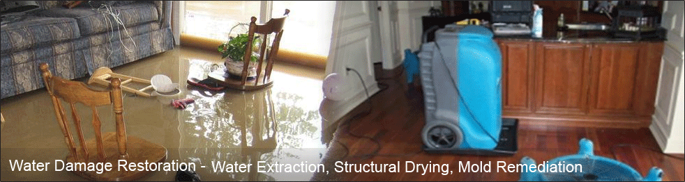 Mold Remediation