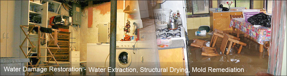Water Damage Company