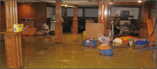 Flood Restoration